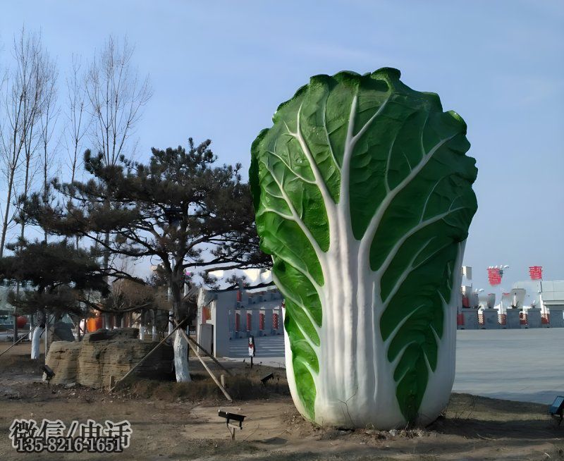 玻璃鋼仿真大白菜雕塑 玻璃鋼仿真大白菜雕塑